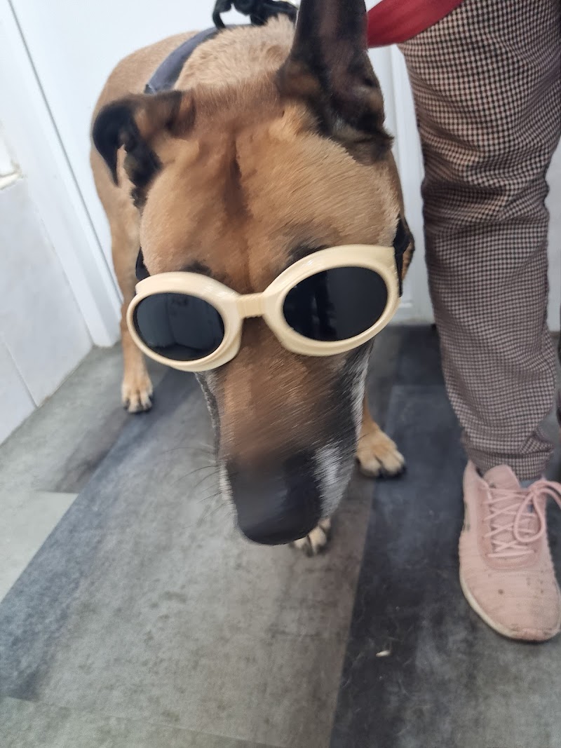 Clínica Veterinaria Adel