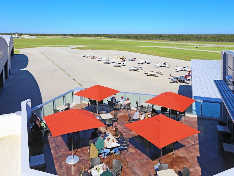 Black Walnut - Conroe photo 3