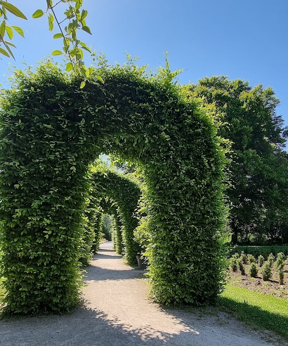 Rosengarten fotoğraf 1