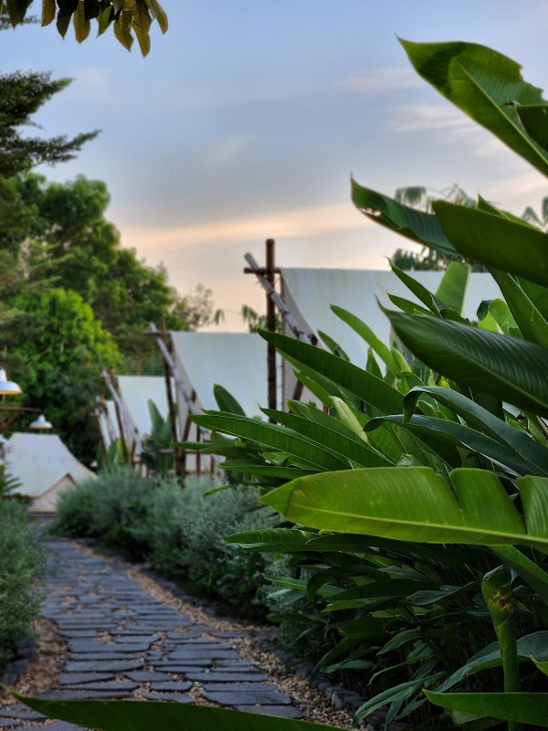 Lạc Glamping