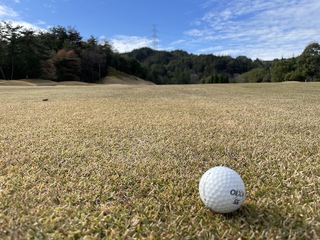 Greenhill Mizunami Golf Club - Photo 10
