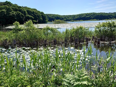 やすらぎ荘