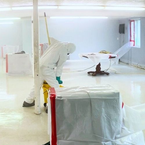 Shankers Mold Remediation — photo