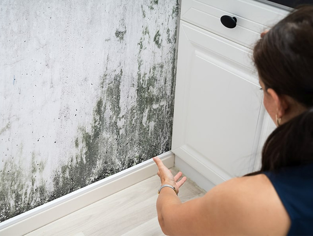 Vortex Water Damage Repair N. Lauderdale — photo