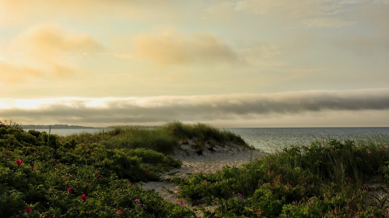 Long Beach in Cape Cod
