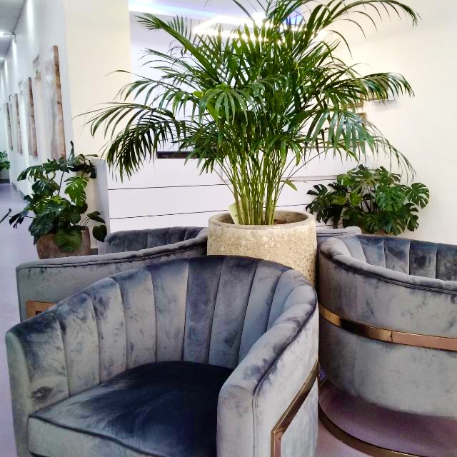 Center For Health and Rejuvenation (C4HR)