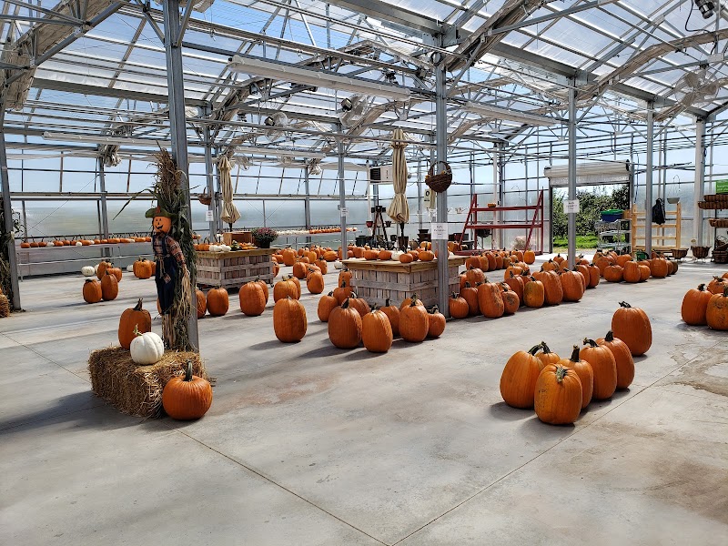 Rulfs Orchard photo 4