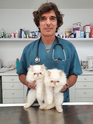 בית חולים לחיות בית