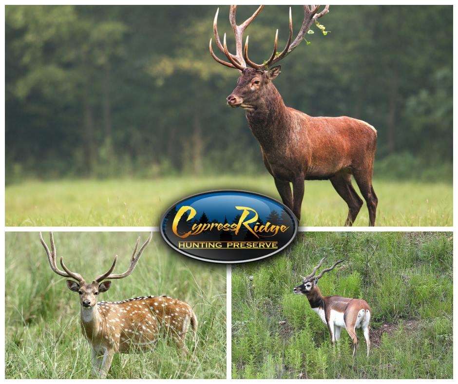 Cypress Ridge Hunting Preserve