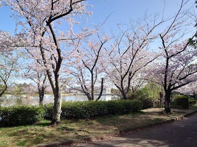 向山緑地