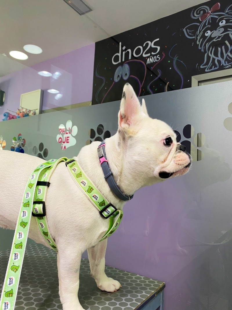 Clínica Veterinaria Dinos