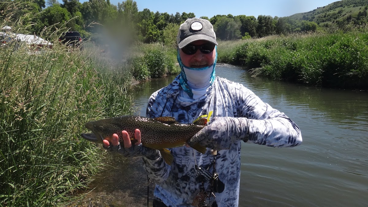 Sportsman Paradise