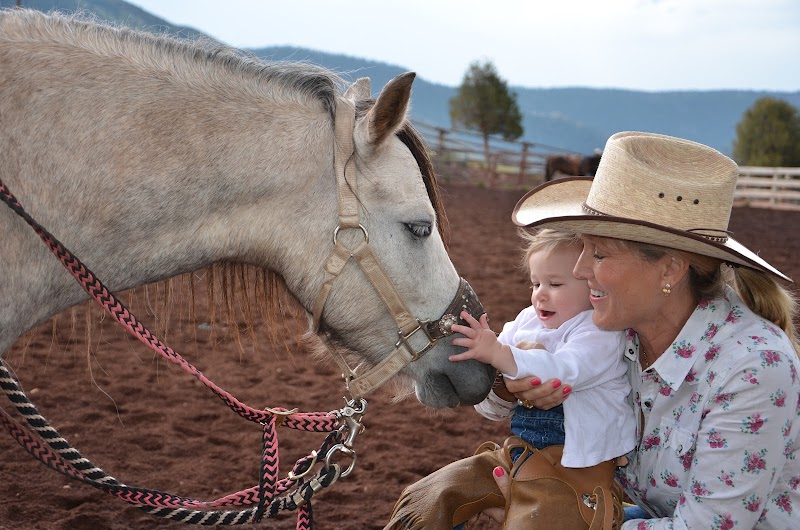 Black Mountain Colorado Dude Ranch - Photo 3