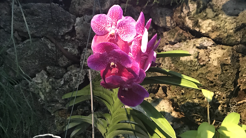 Caring Hands Assisted Living II INC