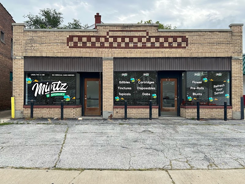 Video tour of MINTZ Cannabinoid Dispensary - Kamm’s Corner retail environment