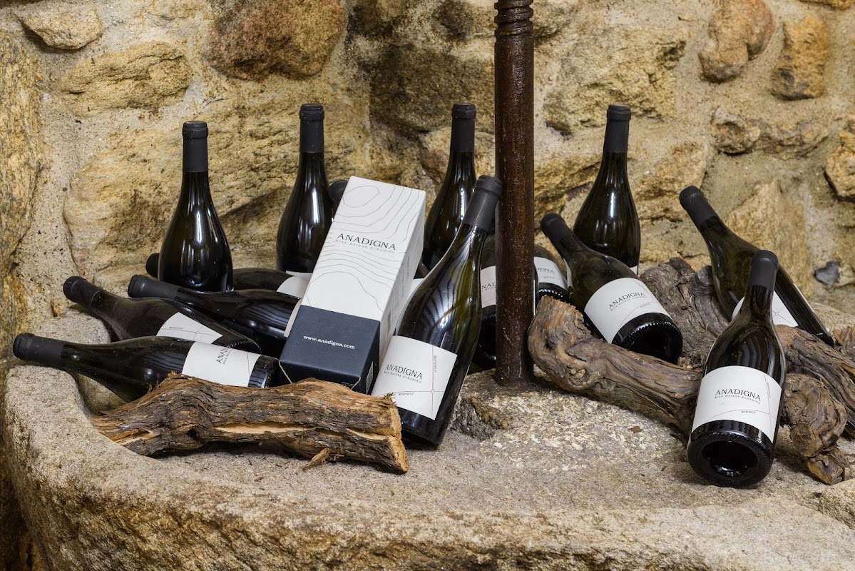 Bodega Anadigna