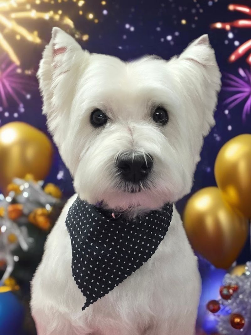 Serenity Transfurmations Pet Spa