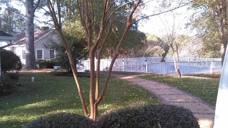 Circle M Plantation - Photo 4