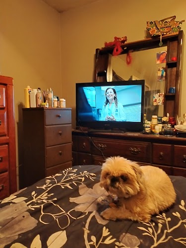 Arlington Residence and Rehabilitation Center