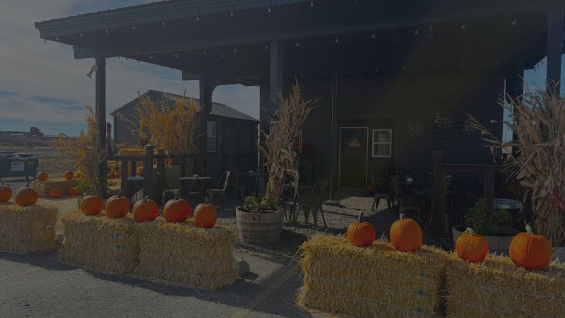 Murphy's Corner Coffee Co. photo 3