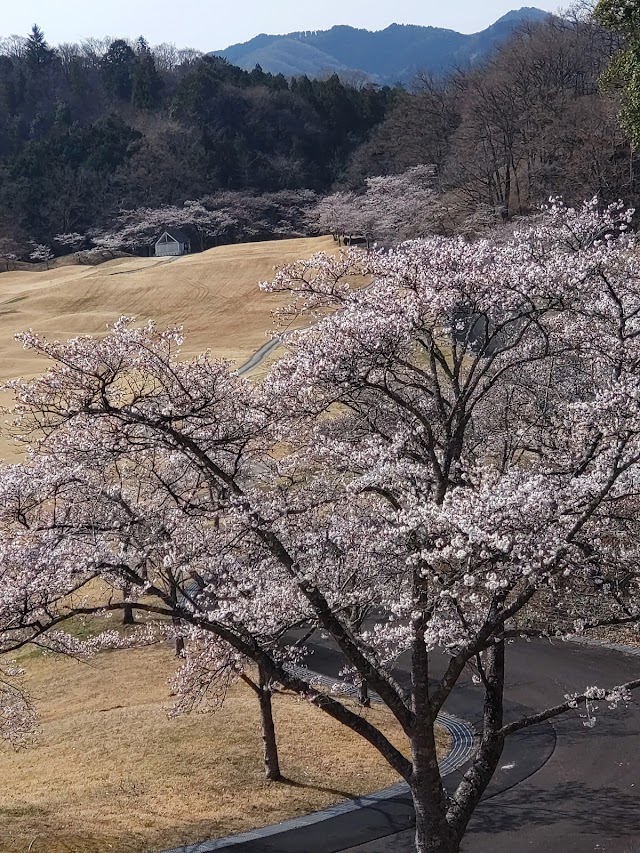 Fukuroda Falls Country Club - Photo 1