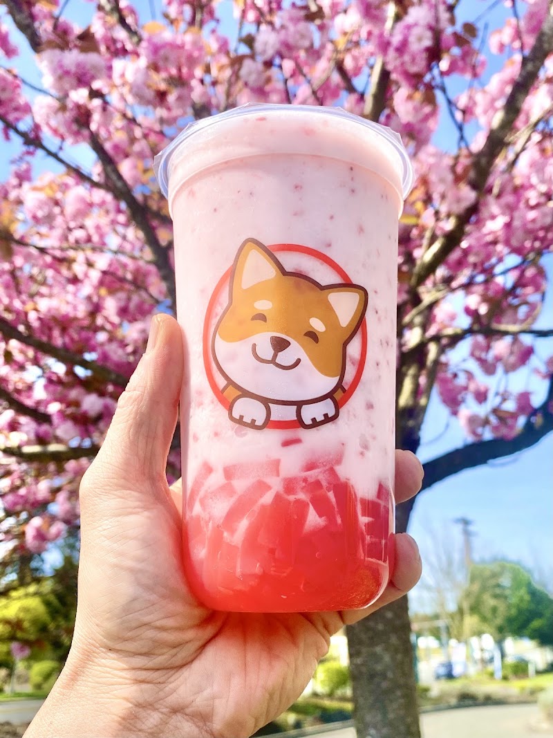 Pochi Bubble Tea Cafe - Marysville photo 3