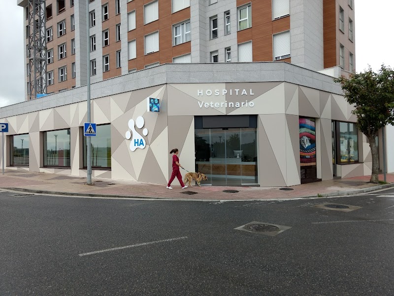 HA Hospital Veterinario (Aceña de Olga) photo 2