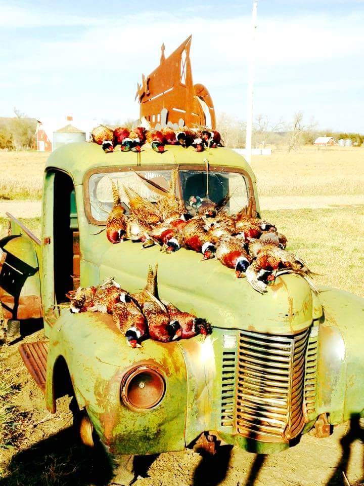 Century Farm Hunts - Photo 1