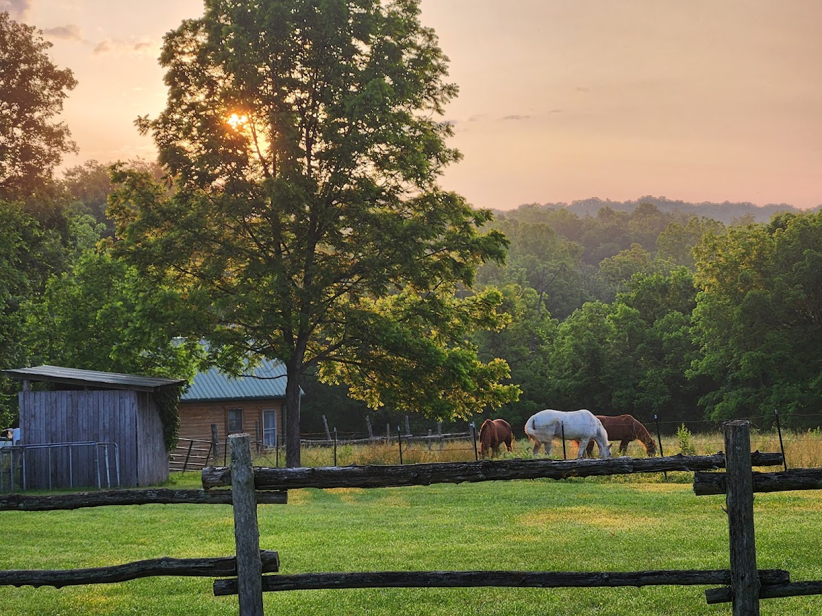 Meramec Farm Cabins