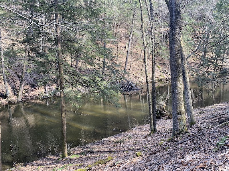 Tamarack Preserve Ltd - Photo 2