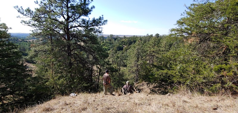 Heartland Elk Hunt - Photo 1