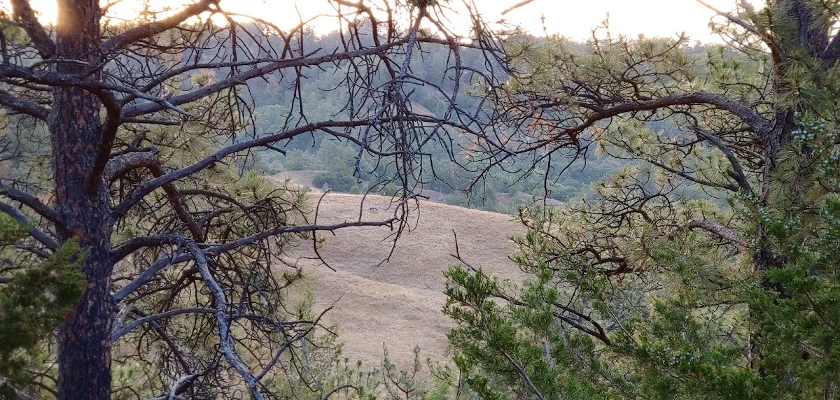 Heartland Elk Hunt