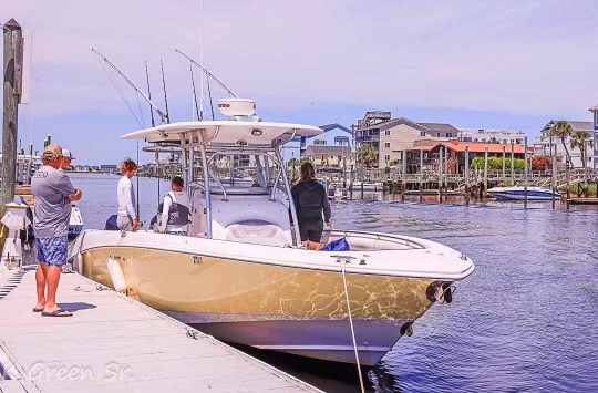 Addason Fishing Charters