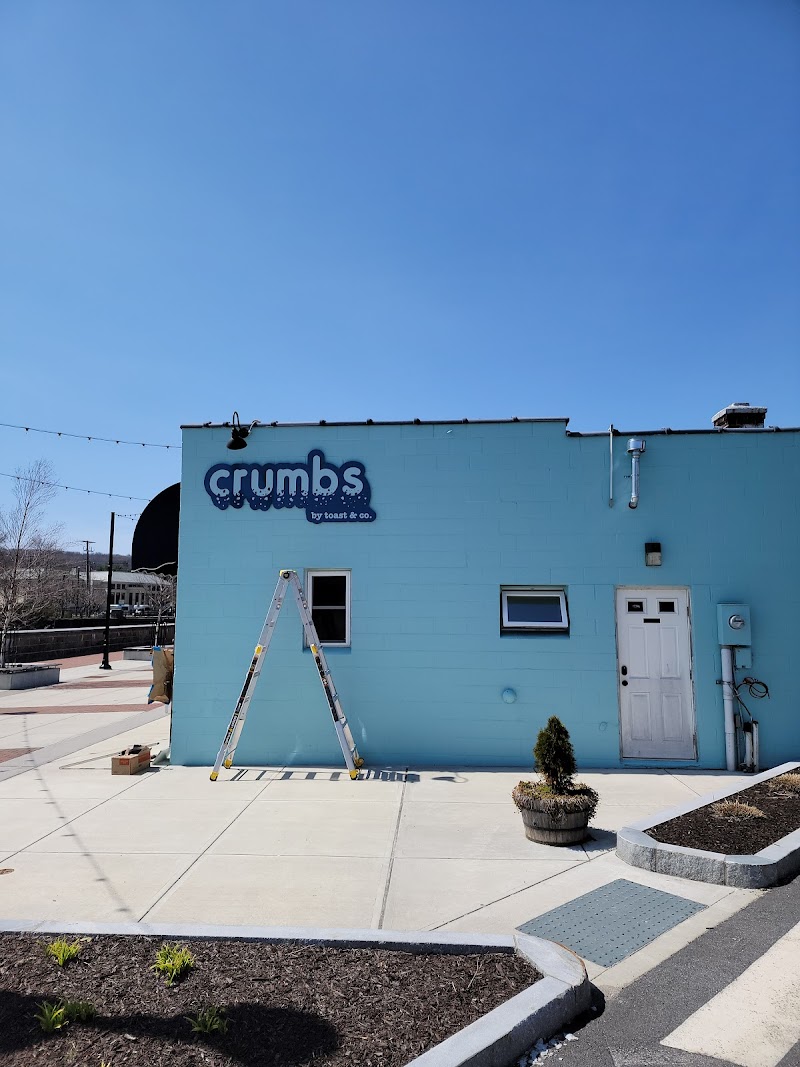 Crumbs by Toast and Co photo 1