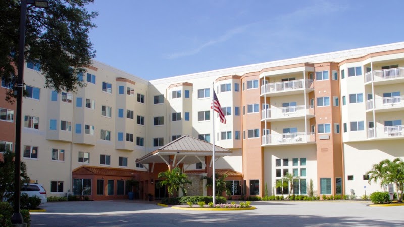 American House Palms