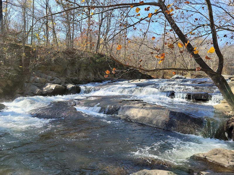 Patapsco Valley State Park- McKeldin Area photo 1