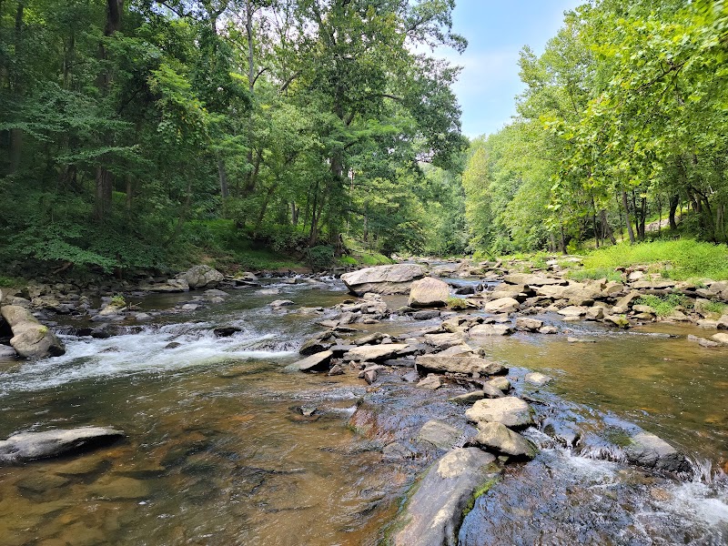 Patapsco Valley State Park- McKeldin Area photo 3