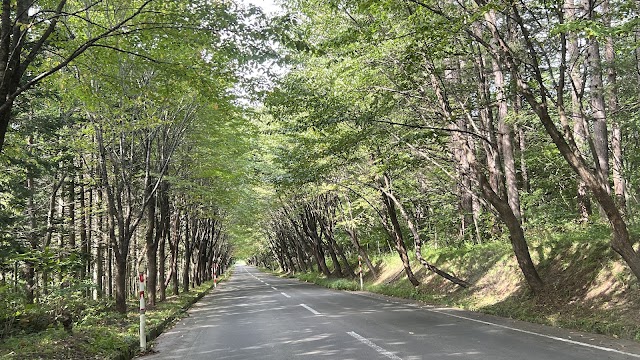 Tsugaru Country Club Hyakuzawa Course - Photo 5