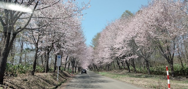 Tsugaru Country Club Hyakuzawa Course - Photo 9