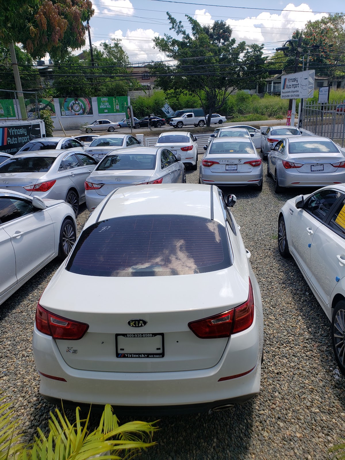 Yirinosky Auto Import - Imagen 2