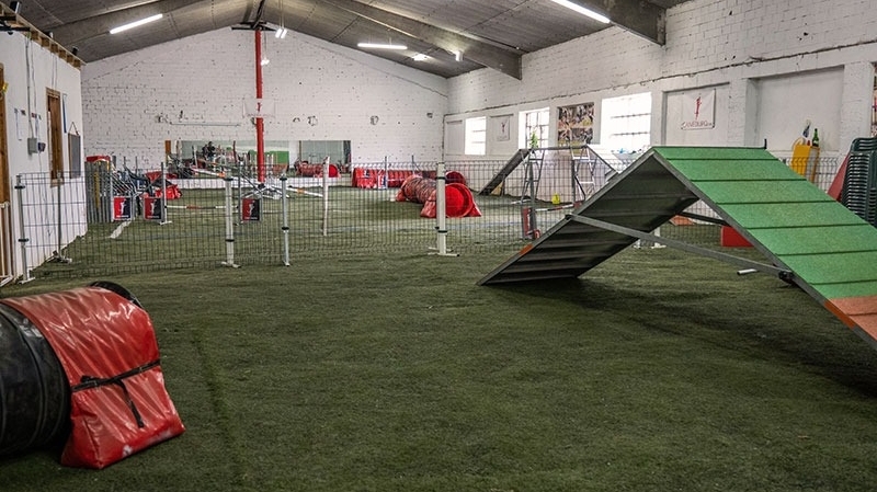 Centro canino Canedupo