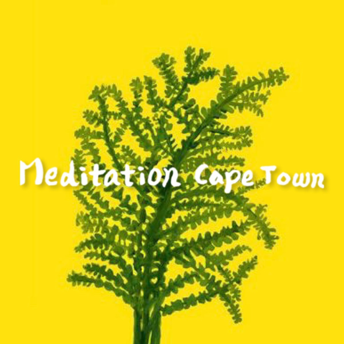 Meditation Cape Town