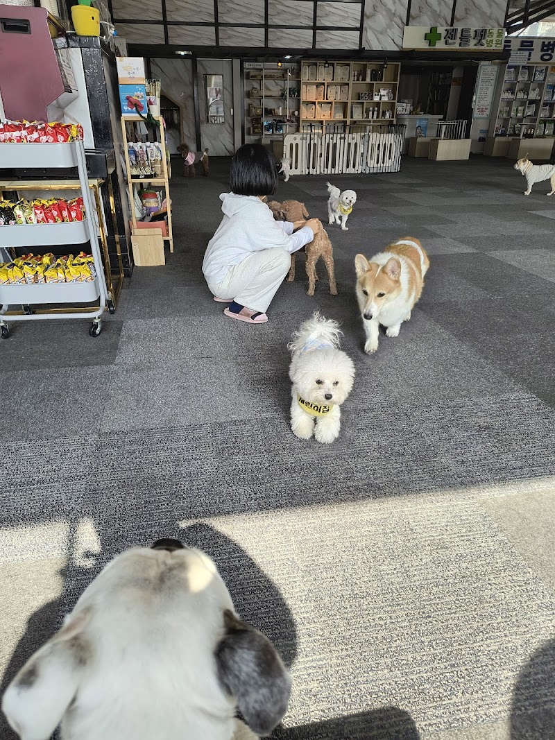 젠틀펫 사진 4