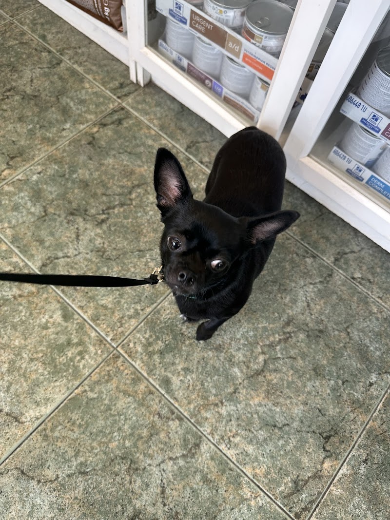 Clínica Veterinaria LABRIT