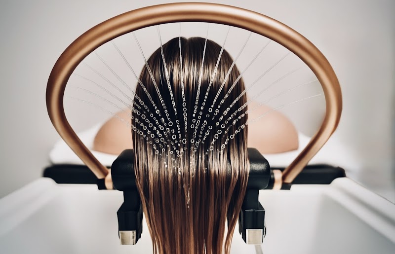 The Head Spa - Polaris