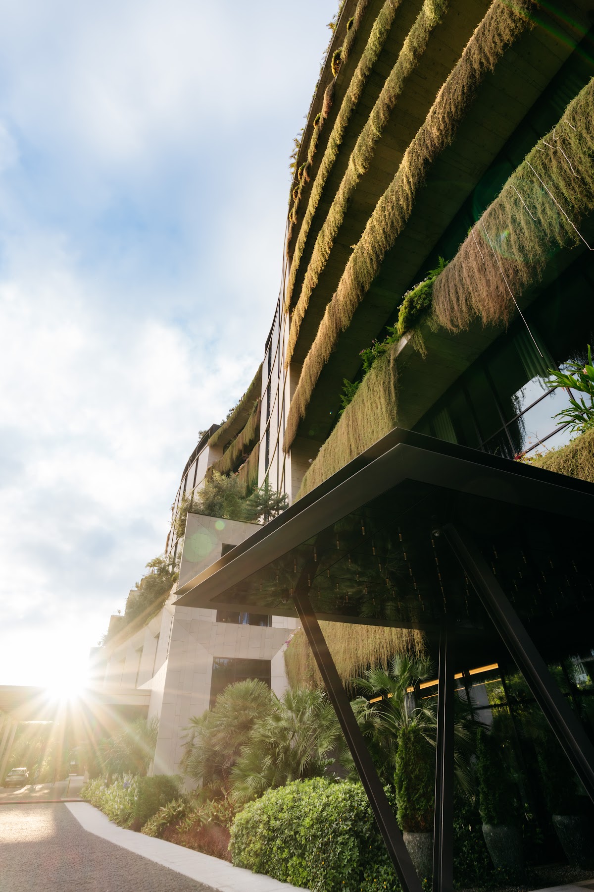 The Reserve, Savoy Signature 5
