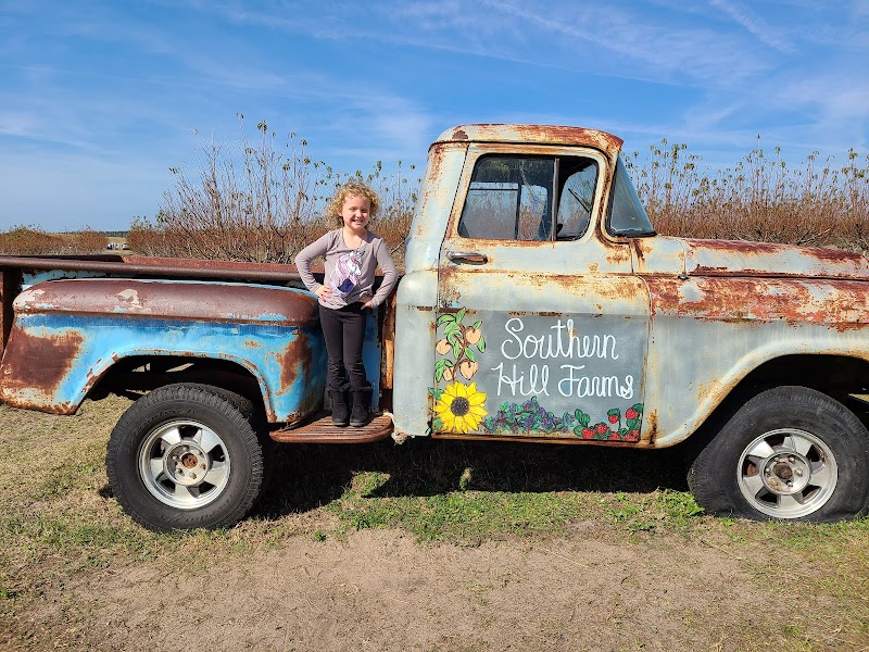 Southern Hill Farms - Photo 4