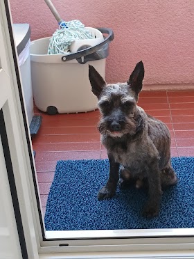 CENTRO VETERINARIO DEUSTO