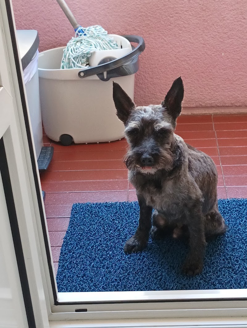 CENTRO VETERINARIO DEUSTO