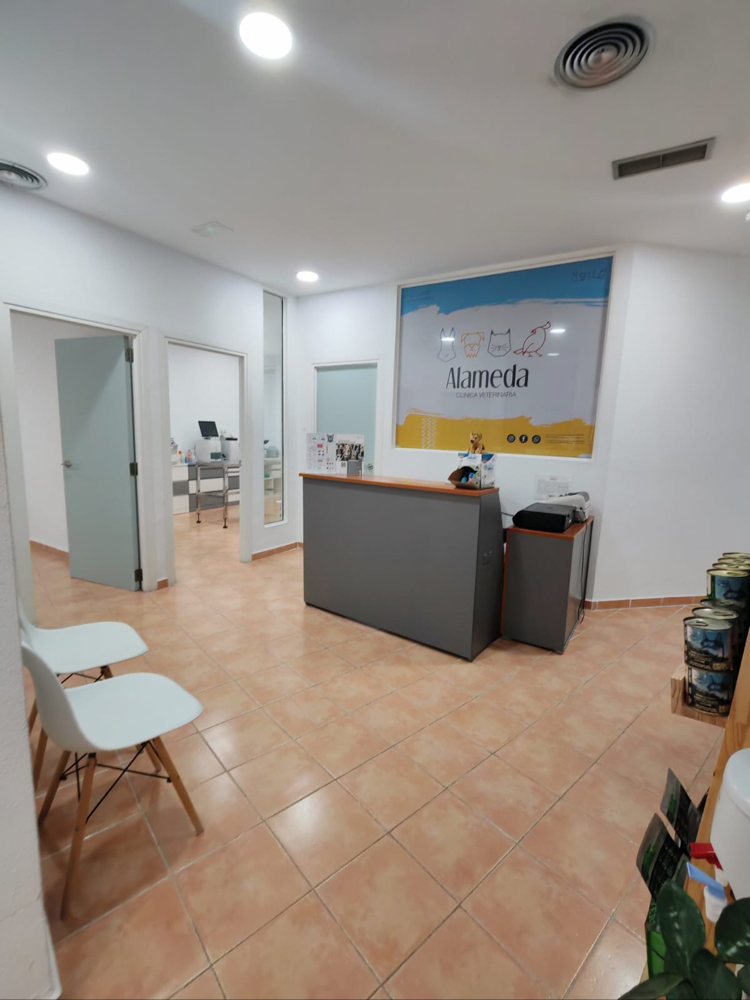 Clínica Veterinaria Alameda Urgencias telefonicas 24H